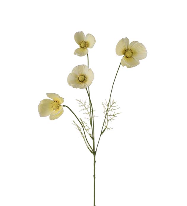Rosenskära / Gul / H: 60cm