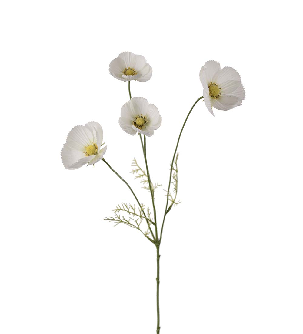 Rosenskära / Vit / H: 60cm