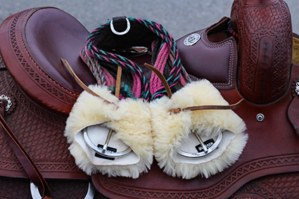 All That Cinch Protector - 2