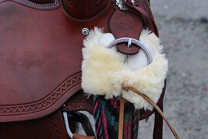 All That Cinch Protector - 4