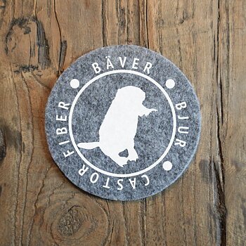 Glasunderlägg - Bäver (castor fiber)
