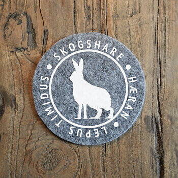 Glasunderlägg - Skogshare (lepus timidus)