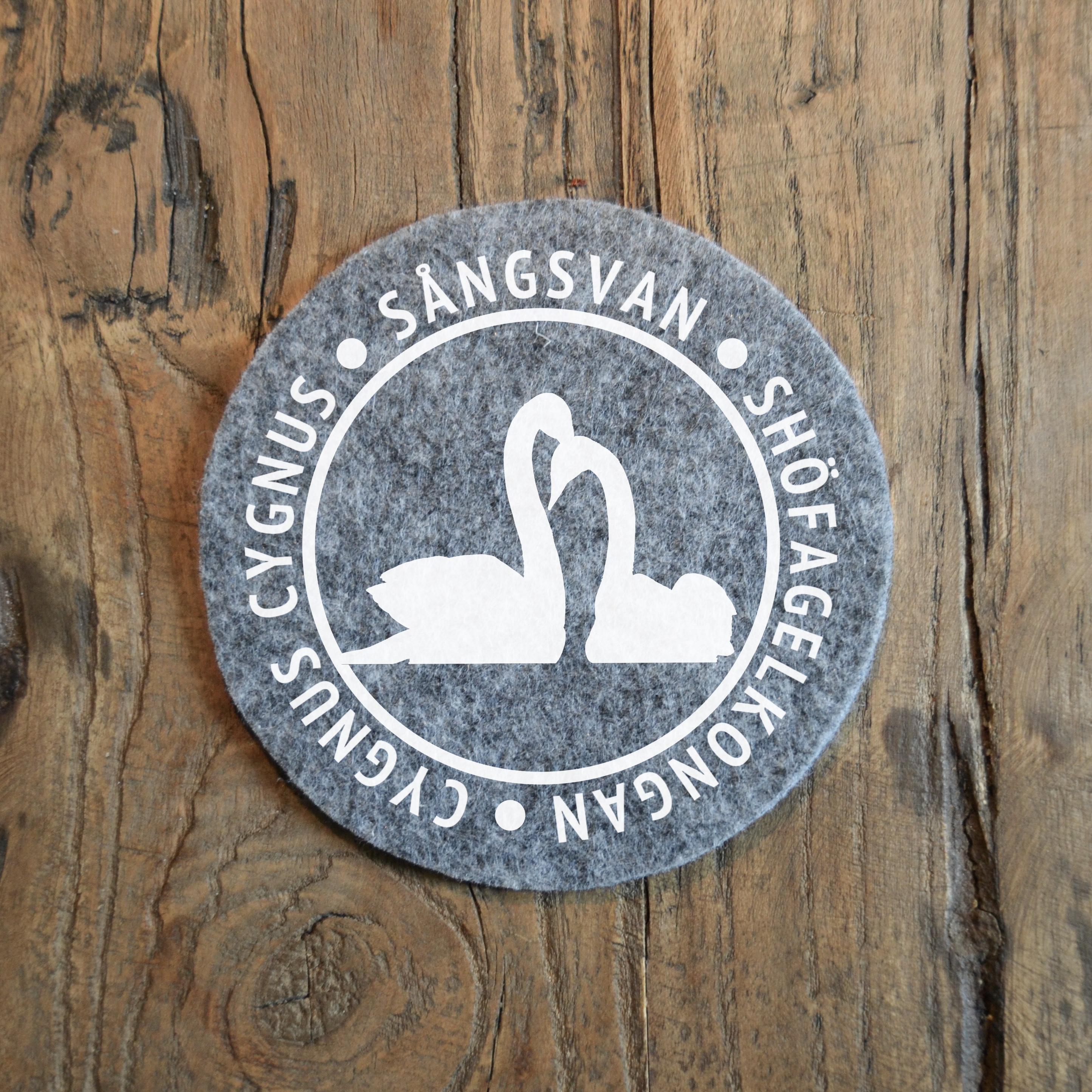 Glasunderlägg - Sångsvan (cygnus cygnus)