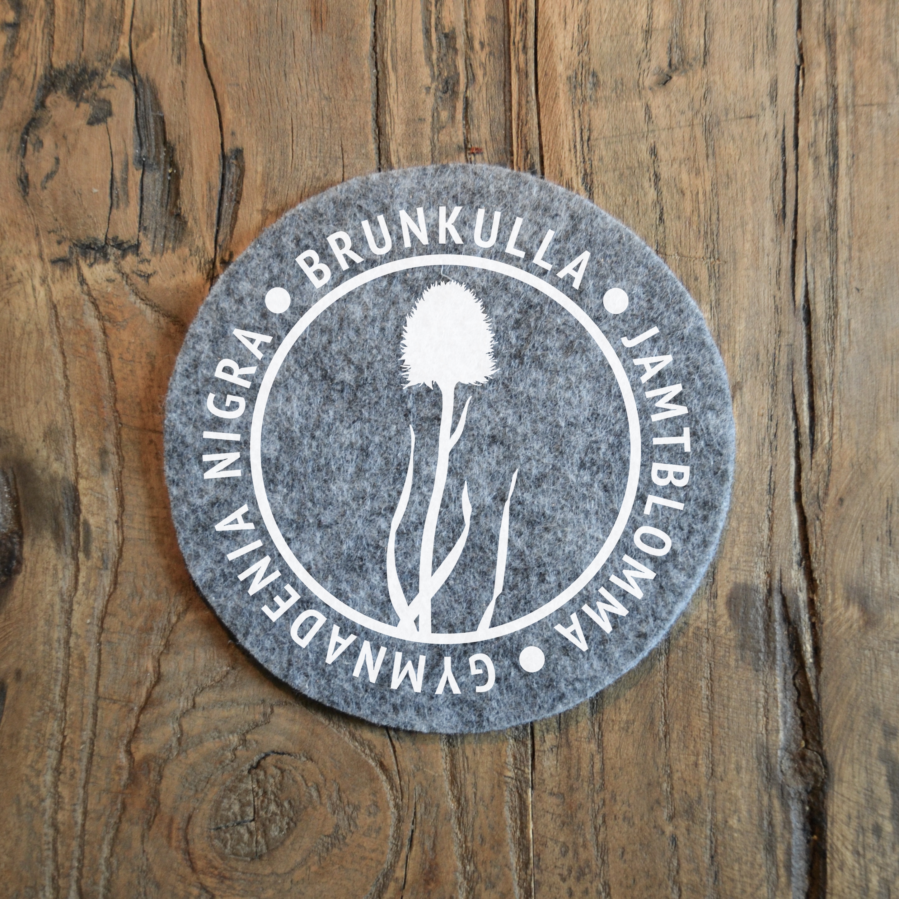 Glasunderlägg - Brunkulla (Jamtblomma)