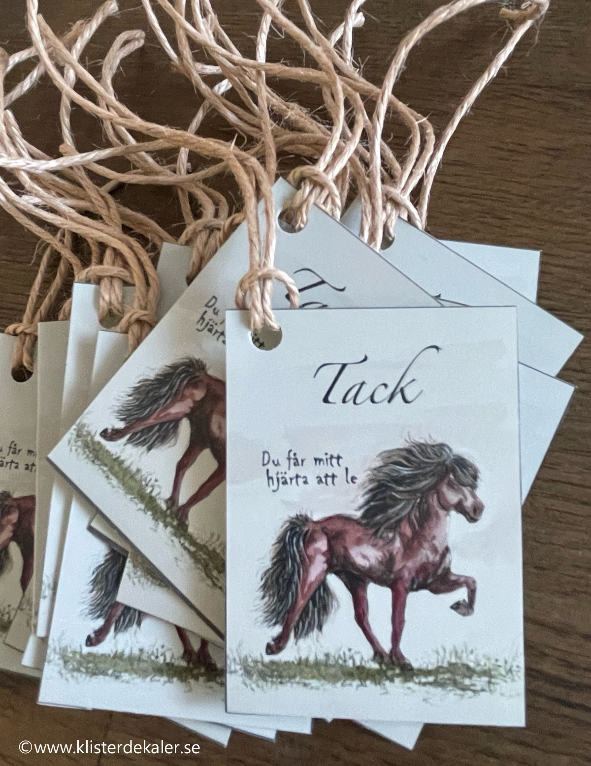 Thank you card - Icelandic horse.