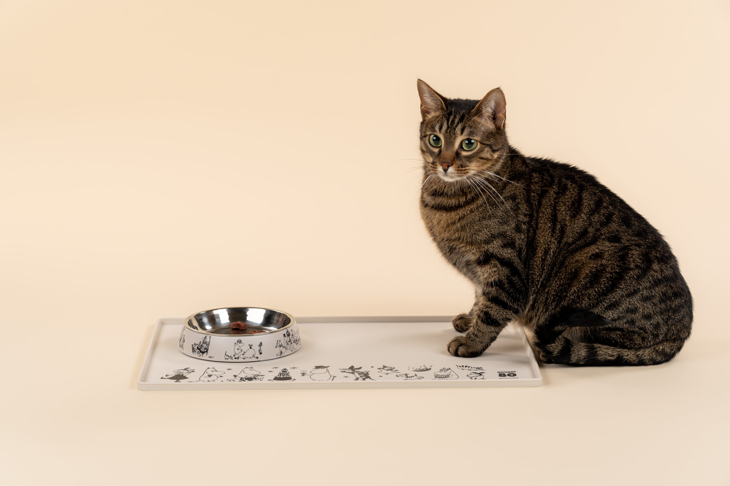 Moomin Pets - Matskål för katter 15,5 cm - Moomin 80 - 4