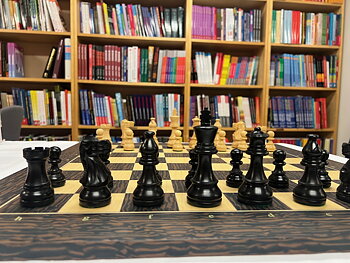 American Black Tiger