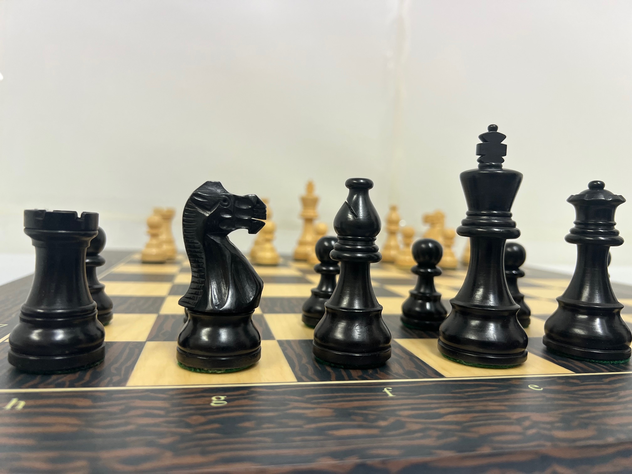 American Black Tiger - 7