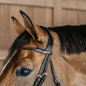DYON FIELDED BROWBAND