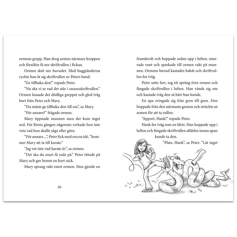 Resan till skapelsen M. J. Thomas - 3
