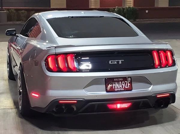LED Diffuser Lights (MUSTANG 18-25) - 2