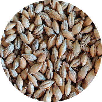 Chit Malt (Crisp), whole, 1 kg
