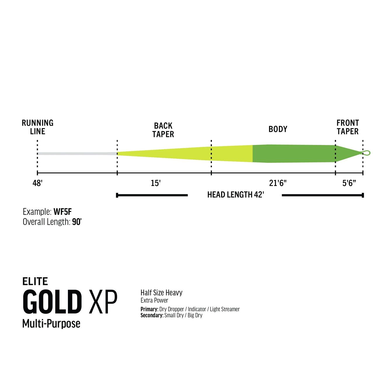 RIO Elite Gold XP - 2