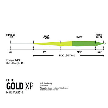 RIO Elite Gold XP