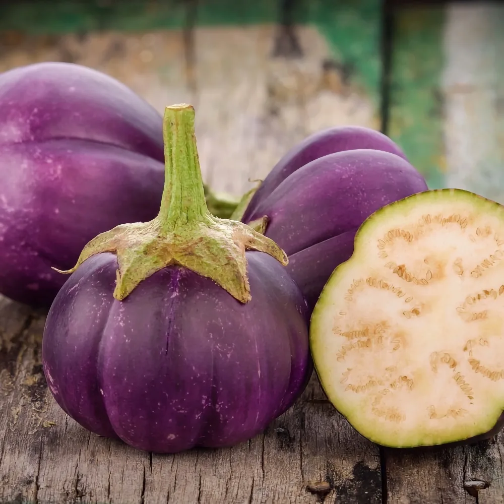 Aubergine 'Florence Violet Round'
