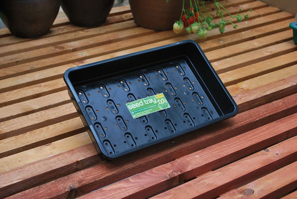 Svart Såbricka - 37,5x23x6 cm - Seed Tray