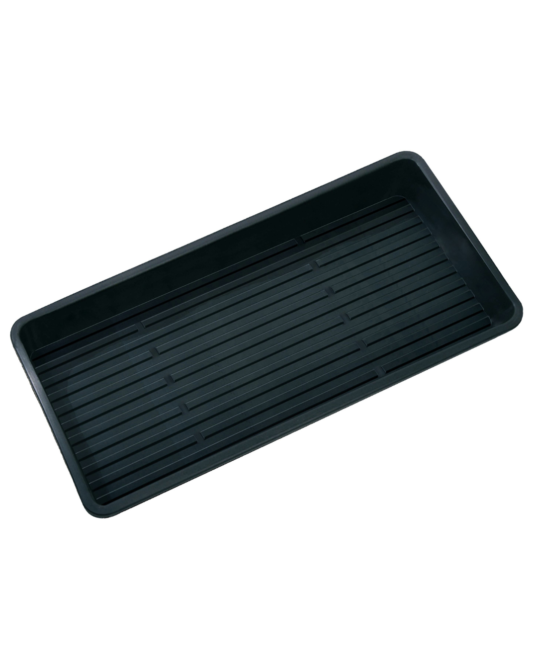 Odlingstråg - 56x28x6 cm - Microgreens Garden Tray