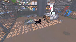 Little Kitty, Big City Nintendo Switch