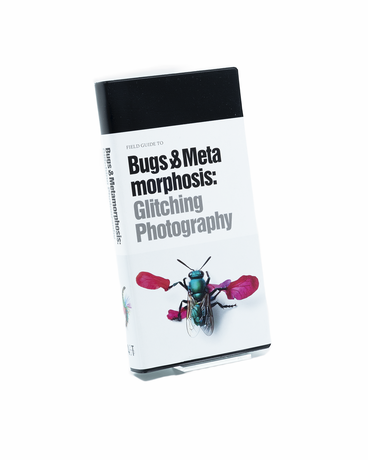 Bugs & Metamorphosis: Glitching Photography - 2