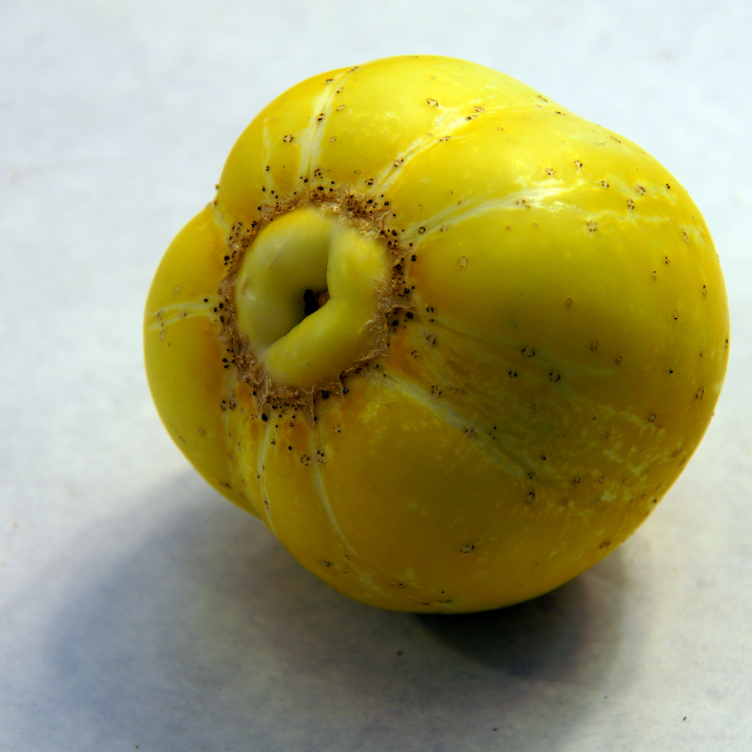 Ekologisk Citrongurka - Lemon