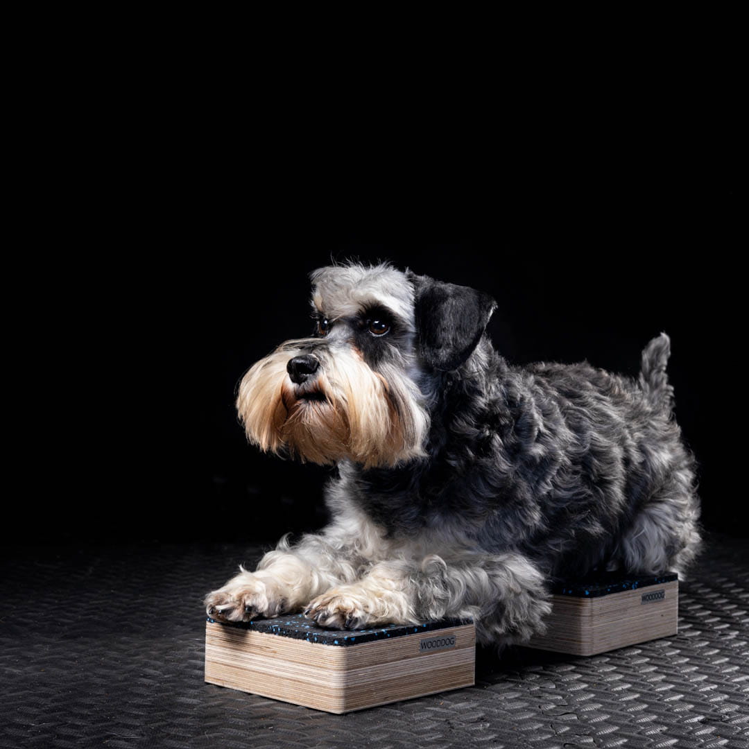 Stool - Target 15x15x5cm - 5