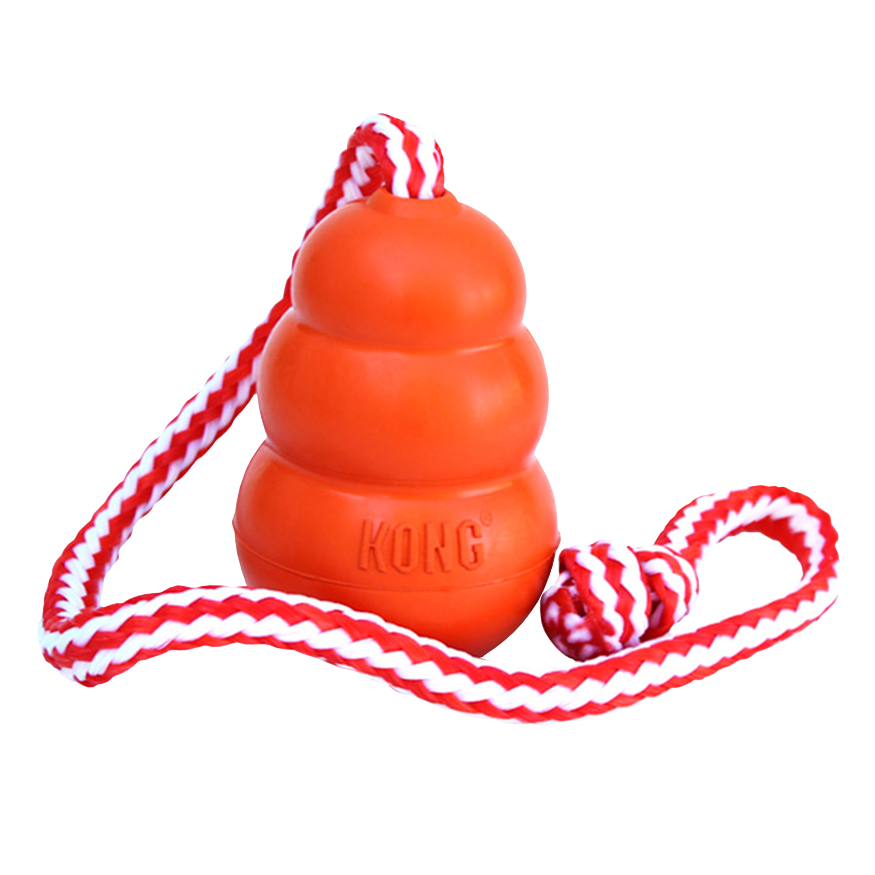 KONG Aqua - 2