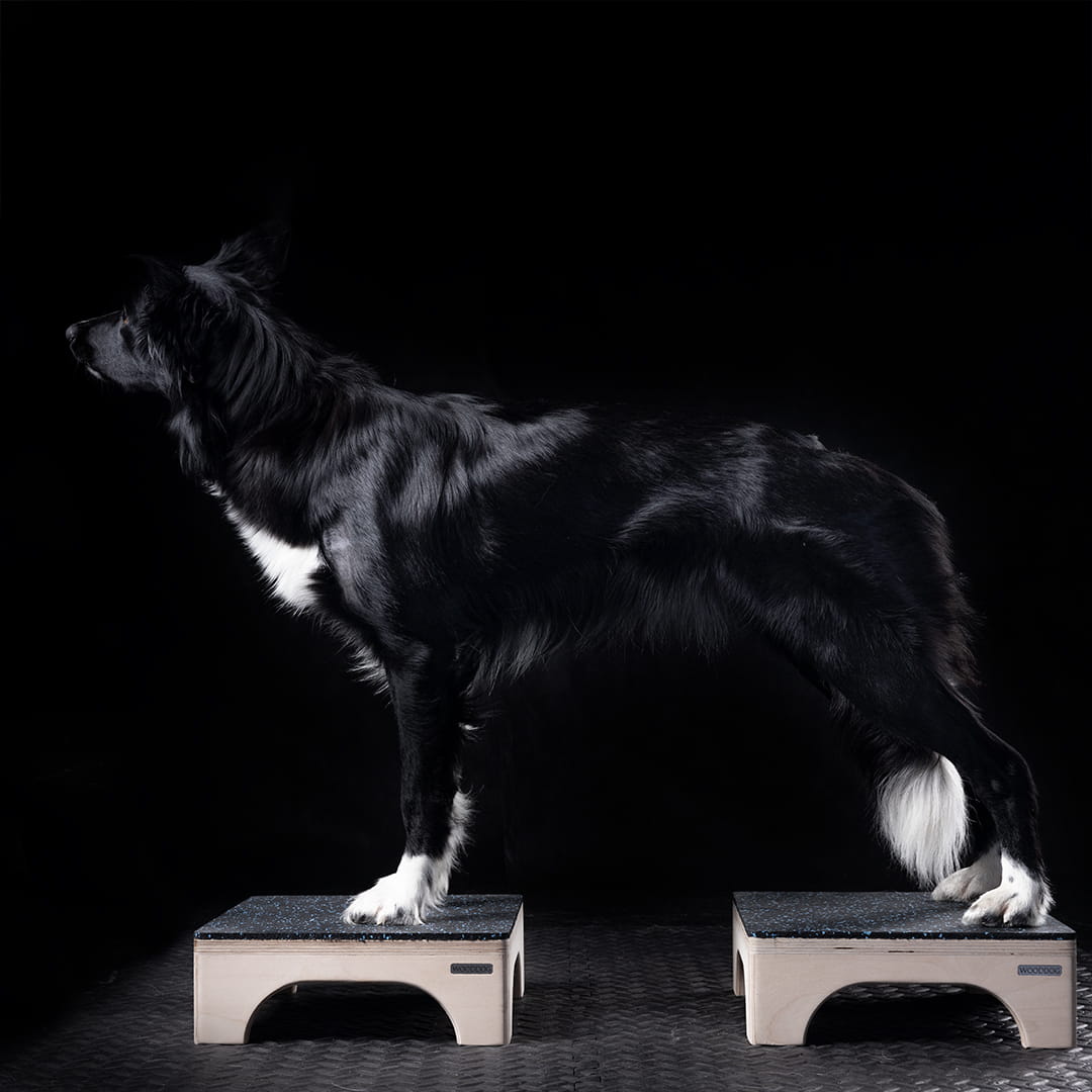 Stool - Target 30x30x10.5cm - 2