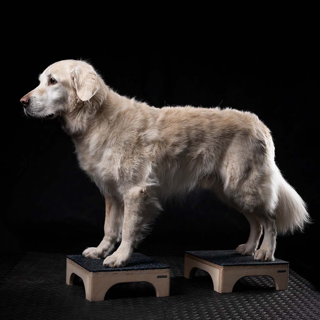 Stool - Target 30x30x10.5cm - 4