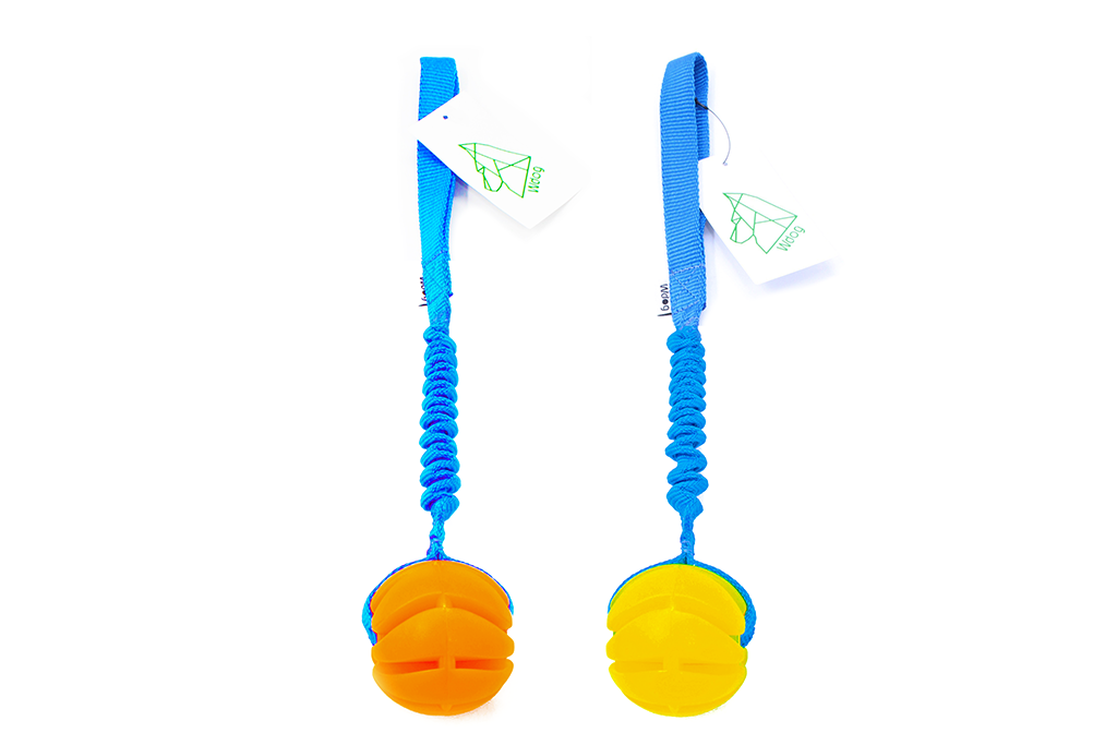 Wdog Neon Bungee - 2
