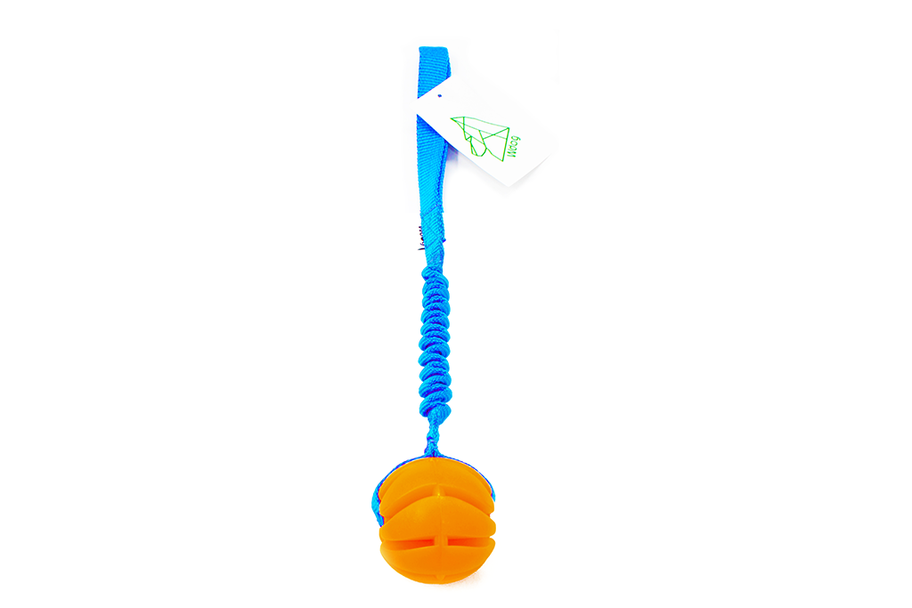 Wdog Neon Bungee - 3