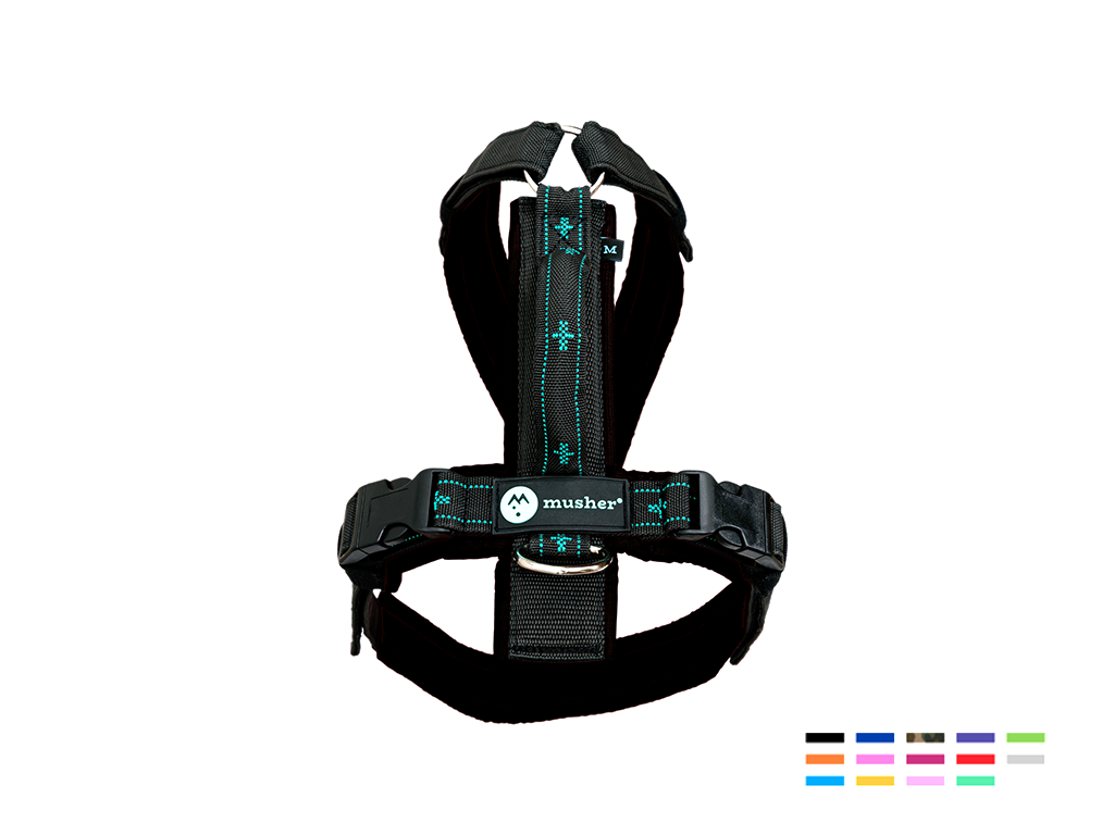 FREESPIRIT Harness black - 2
