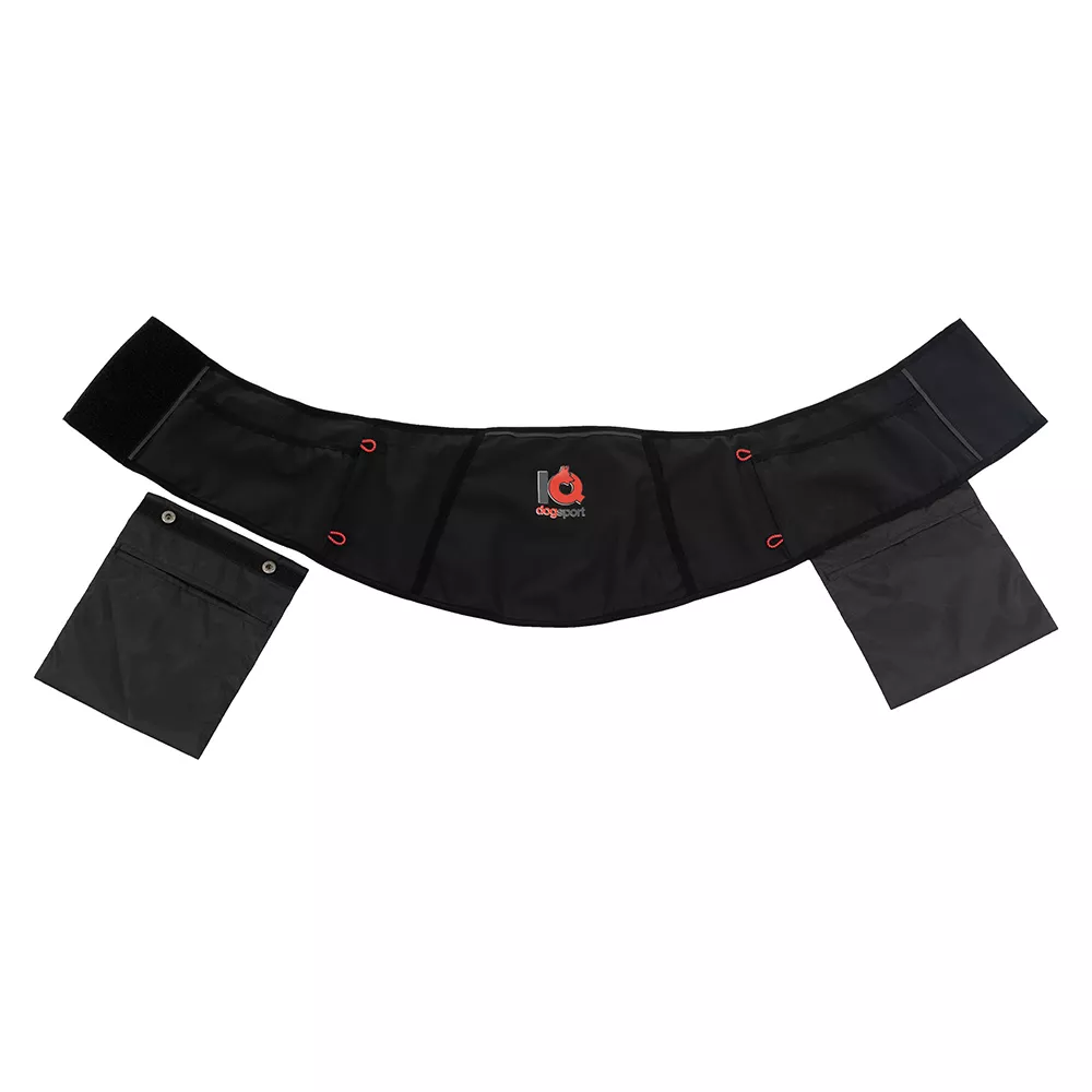 IQ Multifunctional Belt - 2
