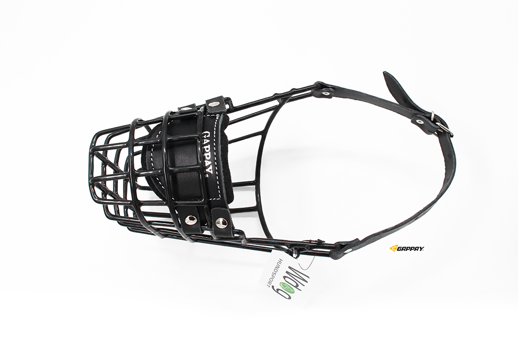 Svart Munkorg GS Tik - Gappay - 2