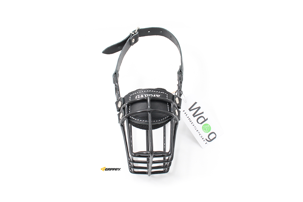 Black Muzzle Malinois Bitch - Gappay - 2