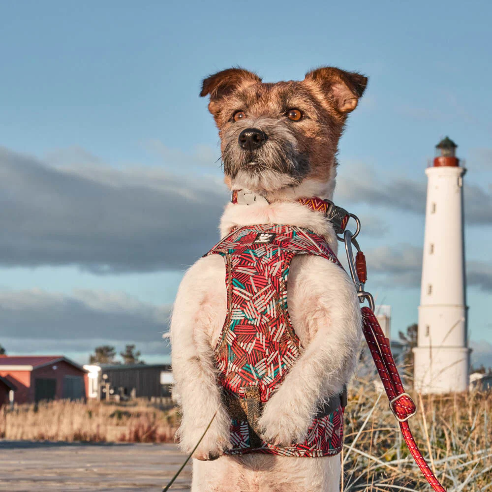 Hurtta ECO Safety Wrap Reflex Dog Vest - Ruby - 4