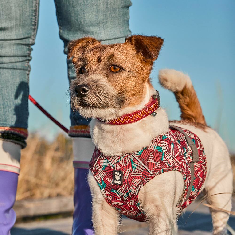 Hurtta ECO Safety Wrap Reflex Dog Vest - Ruby - 3