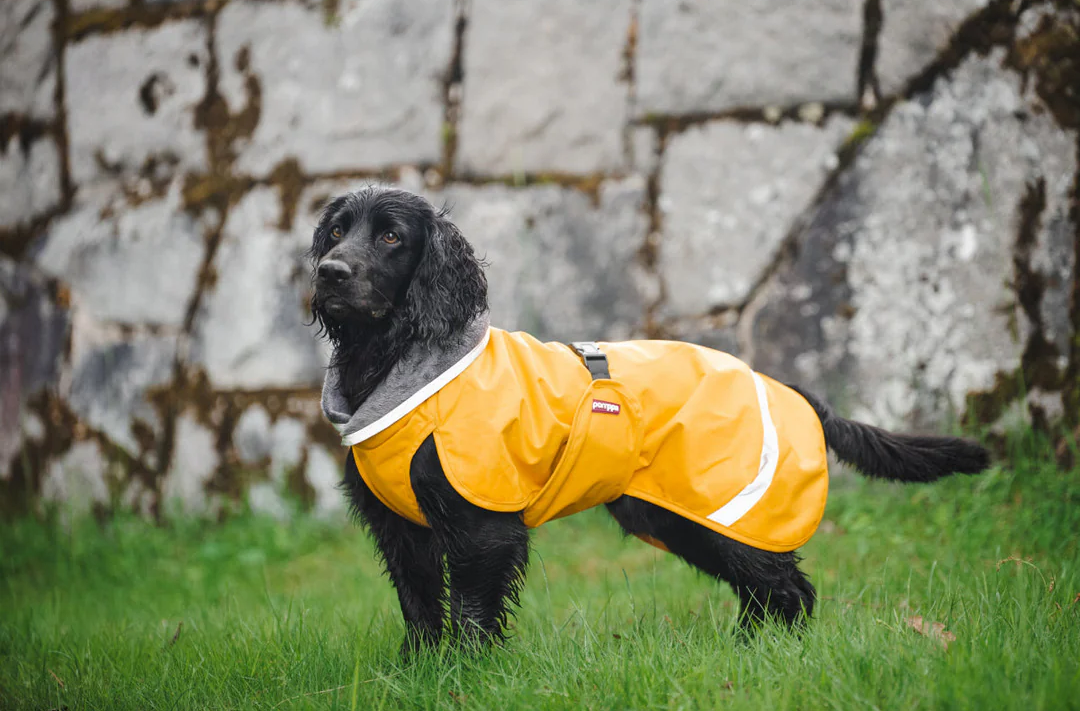 Pomppa Kevyt Raincoat - Curry - 3