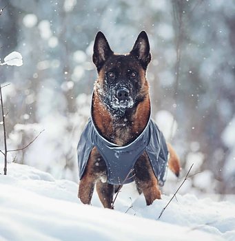 Pomppa Kevyt Raincoat - Graphite