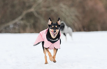 PAIKKA Visibility Winter Reflective Coat