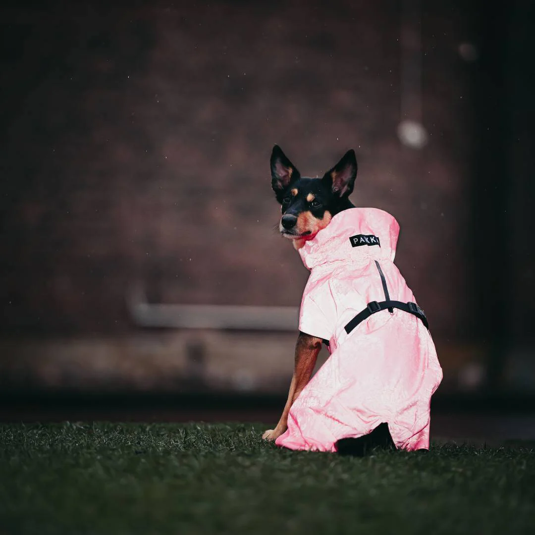 PAIKKA Visibility Raincoat Reflective - 2