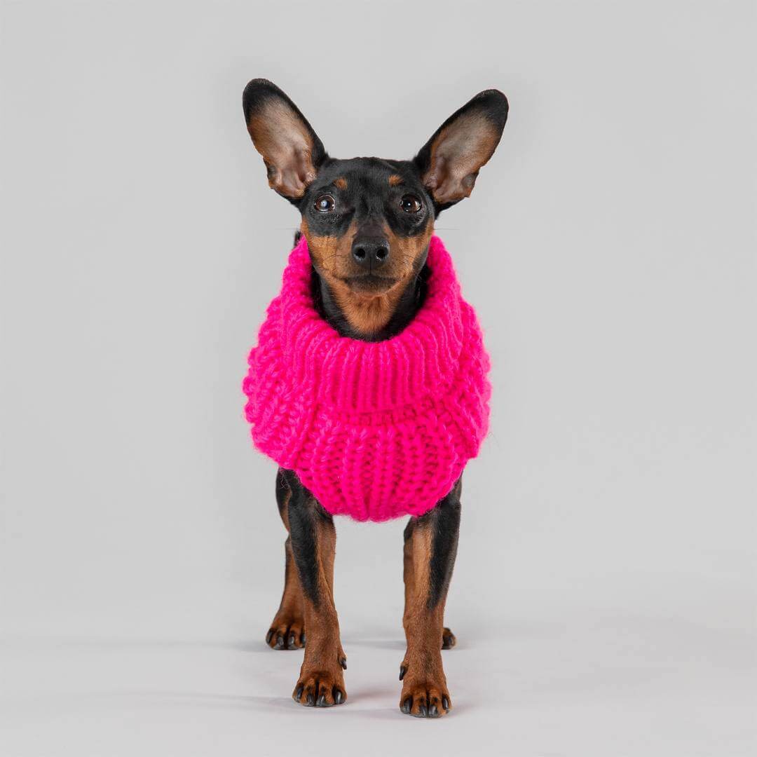 PAIKKA Knit Sweater - Hot pink - 4
