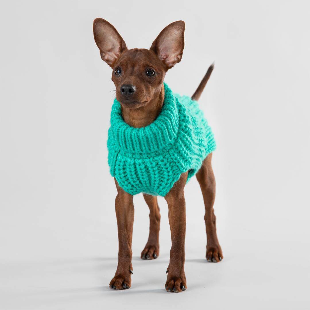 PAIKKA Knit Sweater - Green - 3