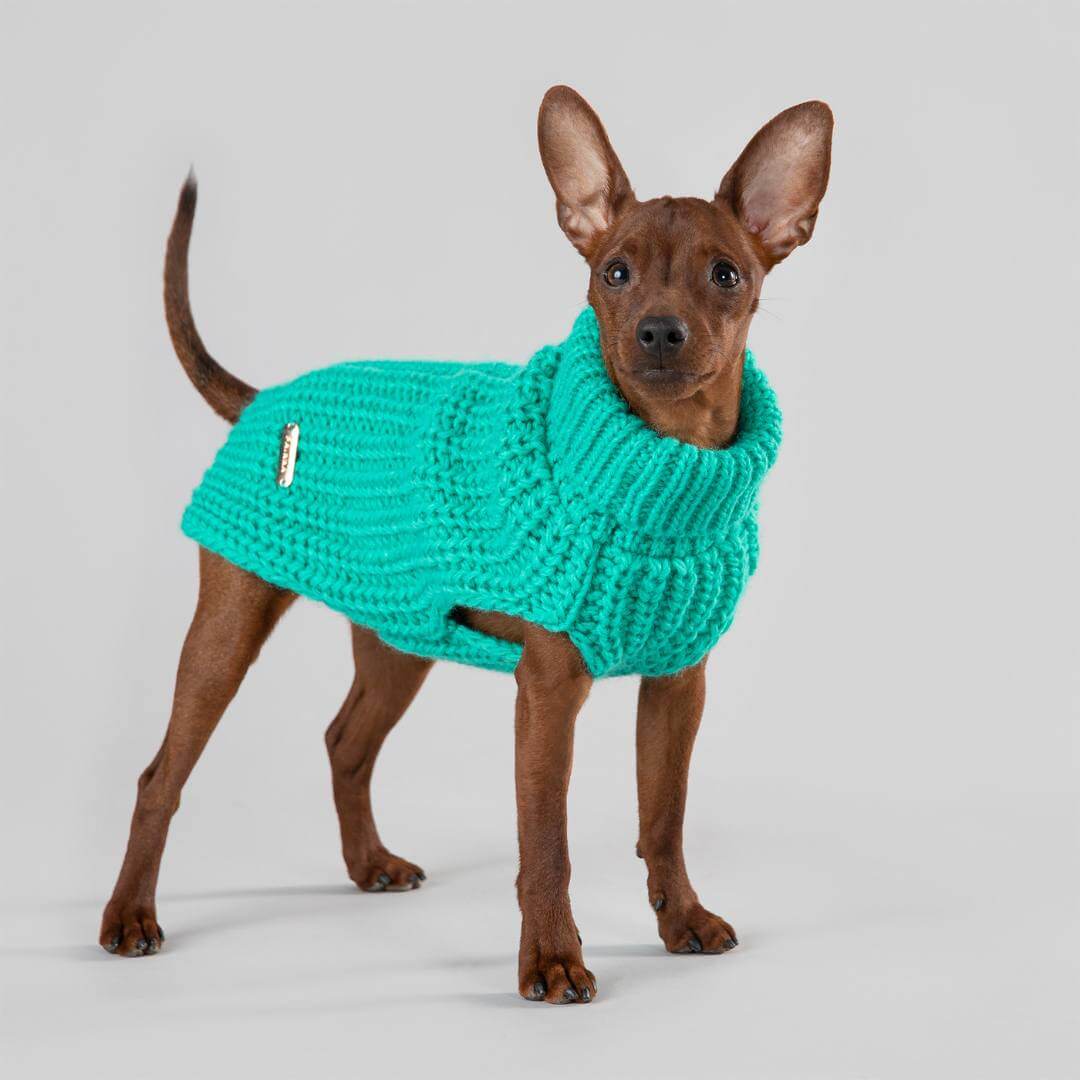 PAIKKA Knit Sweater - Green - 5