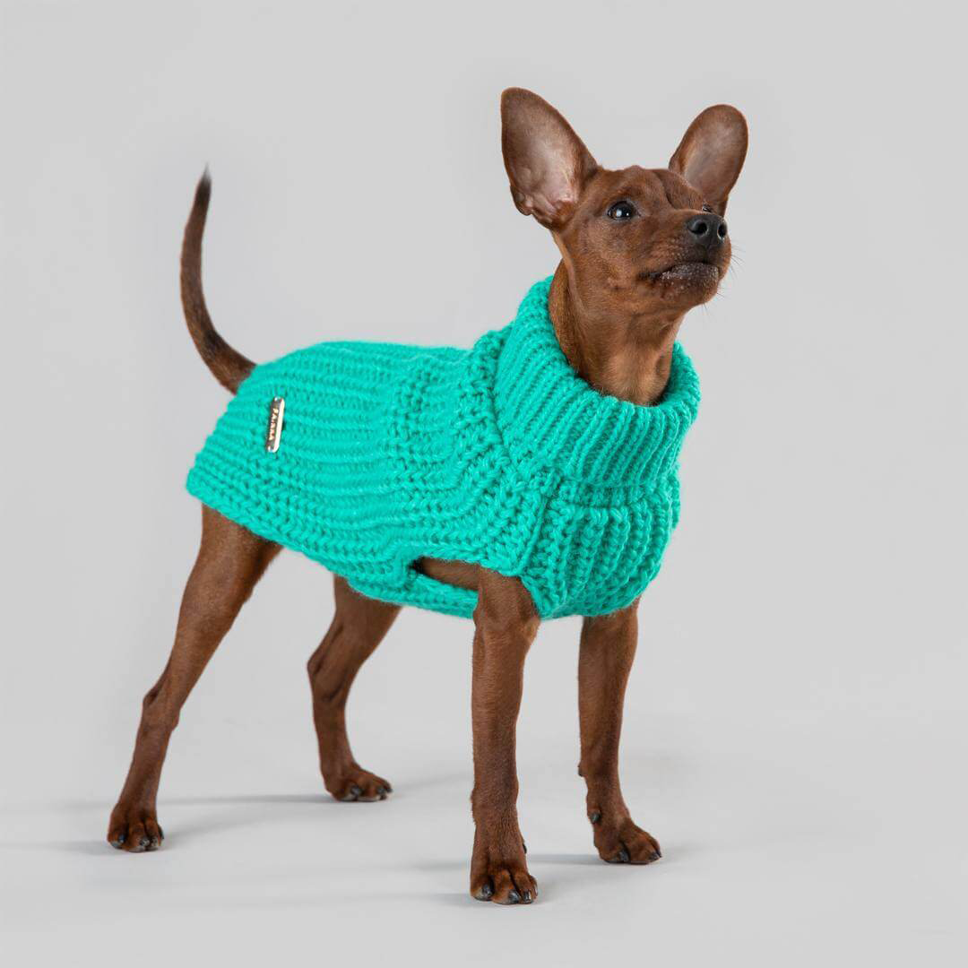 PAIKKA Knit Sweater - Green - 6