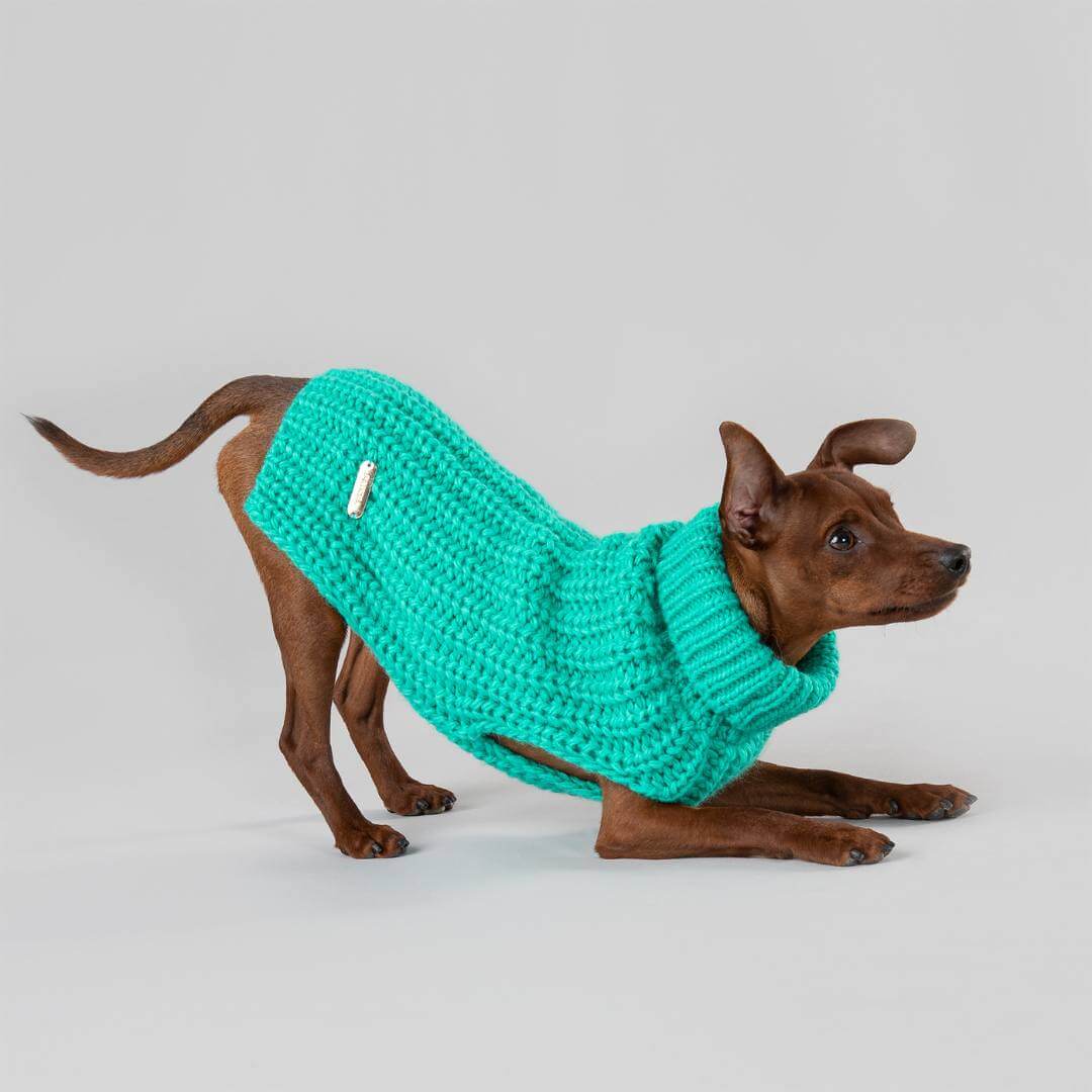 PAIKKA Knit Sweater - Green - 4