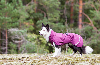 Pomppa Perus Wintercoat - Plum