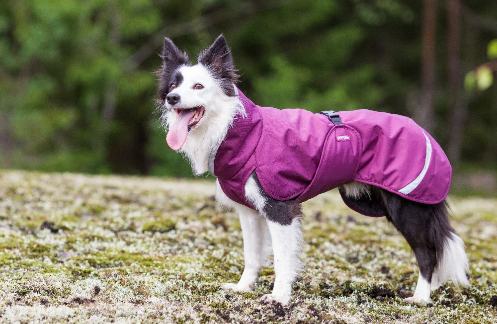 Pomppa Perus Wintercoat - Plum - 6