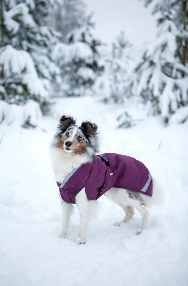 Pomppa Perus Wintercoat - Plum - 4