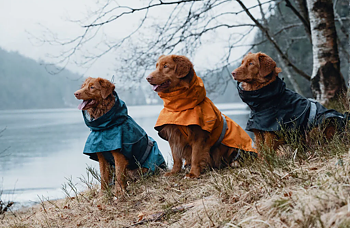 Hurtta Monsoon Raincoaat sz 20/8