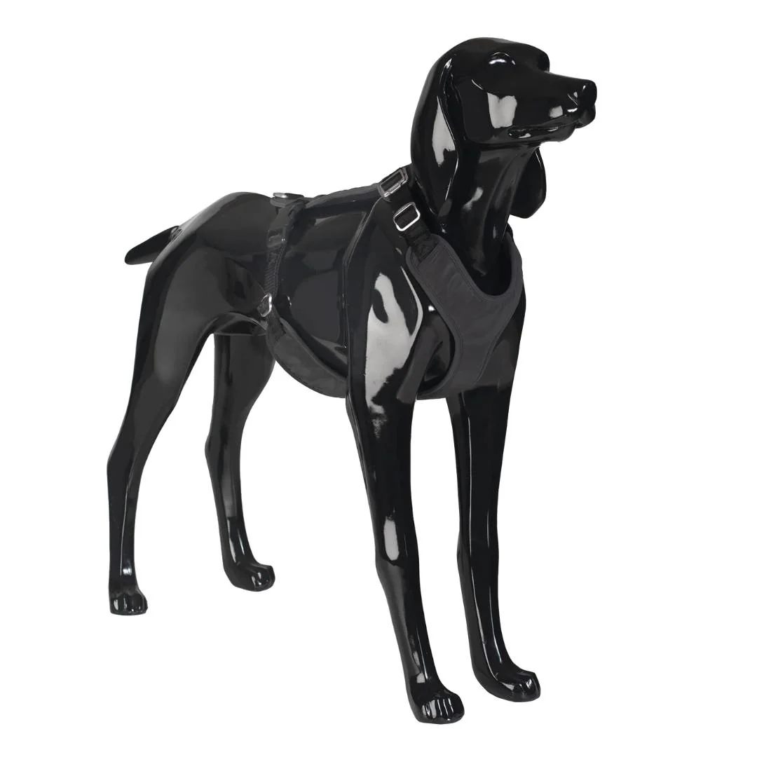 PAIKKA Visibility Harness Sele - Dark - 2